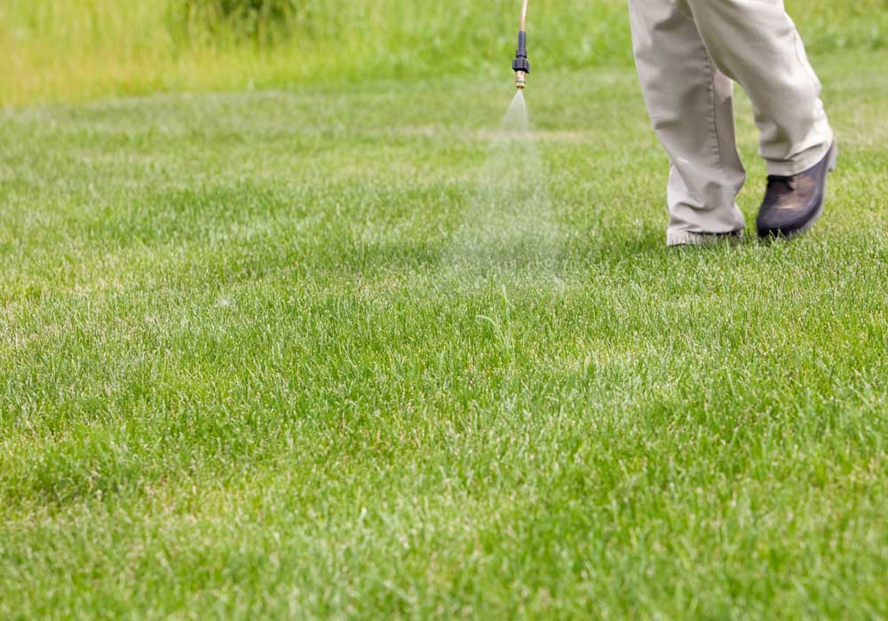 Wetting Agents